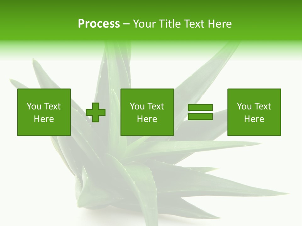 Nature White Green PowerPoint Template