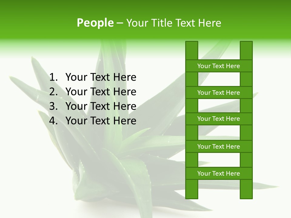 Nature White Green PowerPoint Template