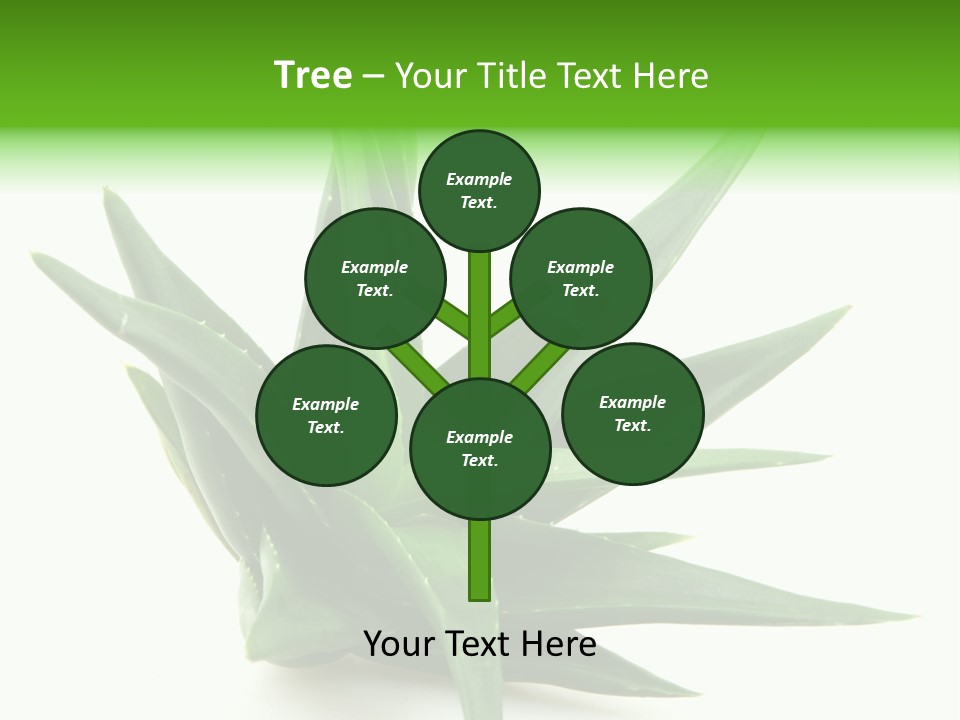 Nature White Green PowerPoint Template
