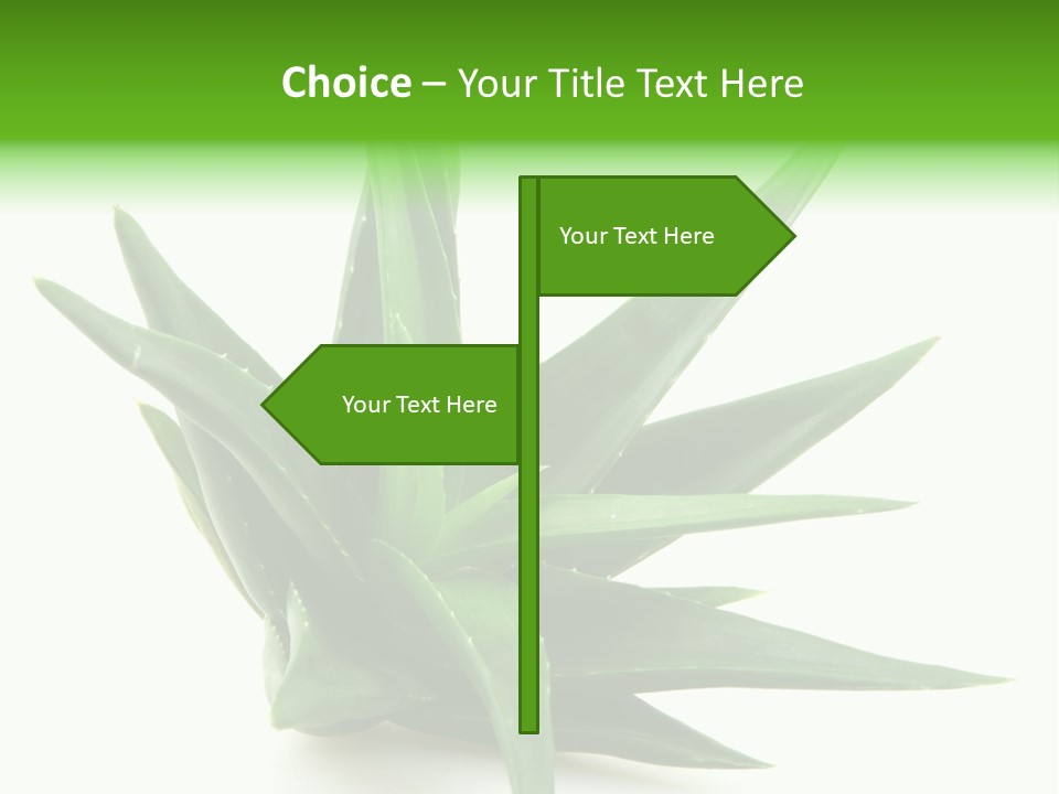 Nature White Green PowerPoint Template