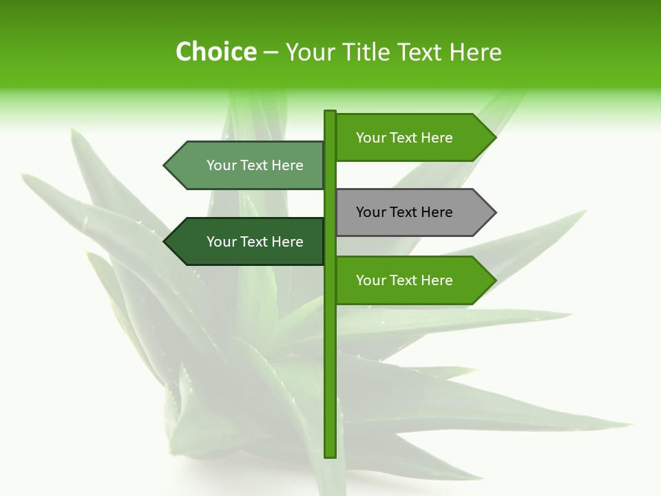 Nature White Green PowerPoint Template