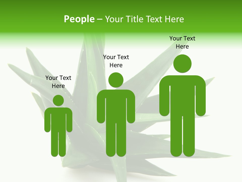 Nature White Green PowerPoint Template