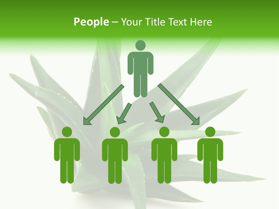 Nature White Green PowerPoint Template