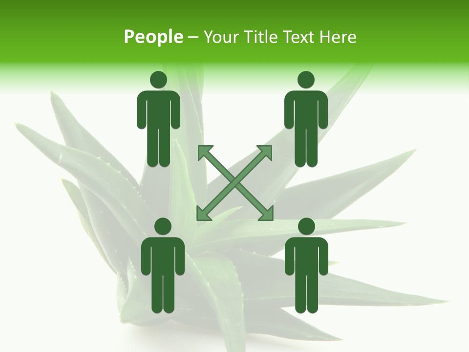 Nature White Green PowerPoint Template