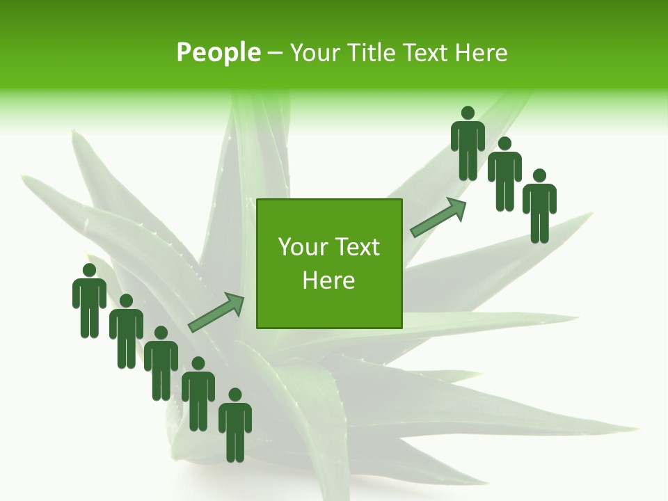 Nature White Green PowerPoint Template