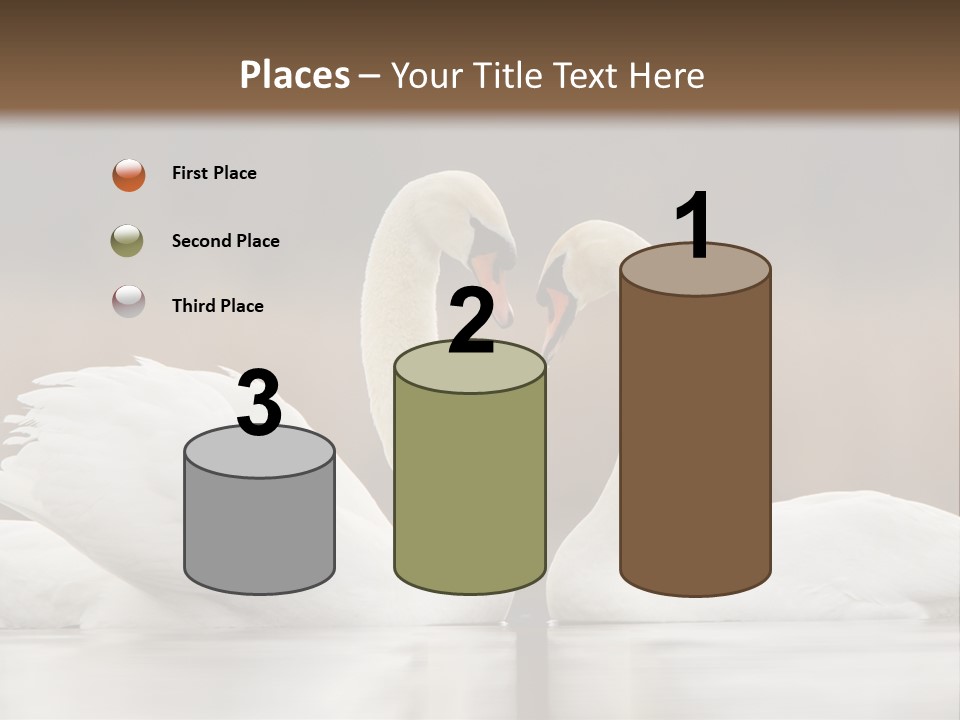 Mute Valentine Romance PowerPoint Template