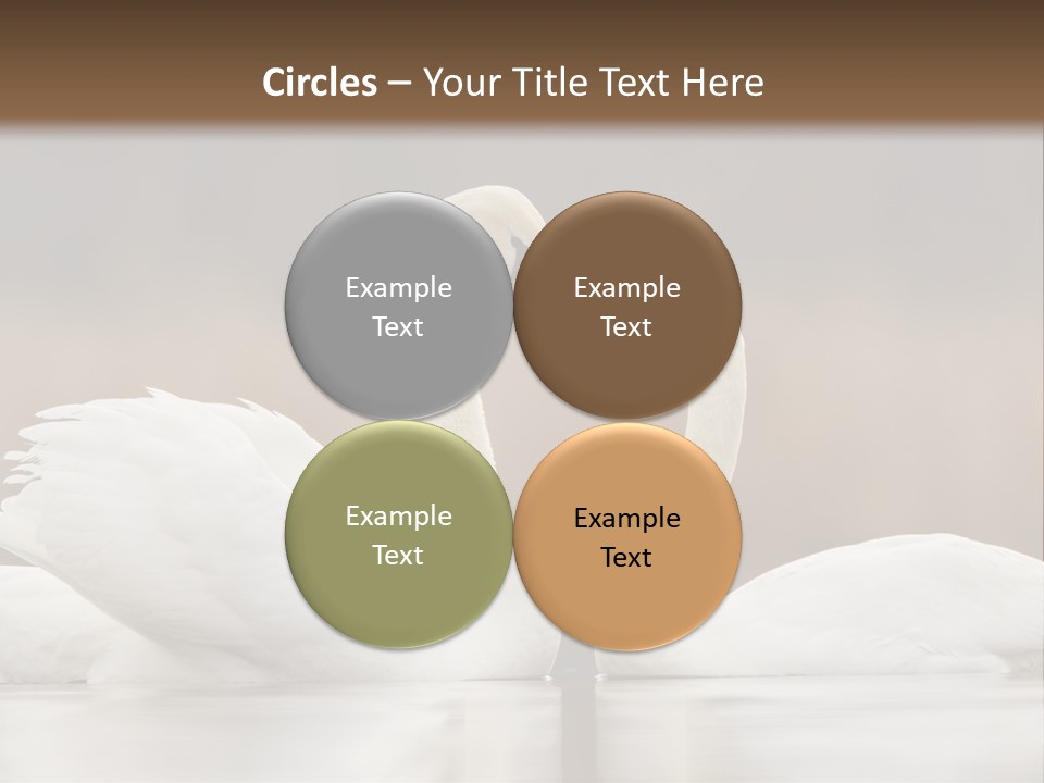 Mute Valentine Romance PowerPoint Template