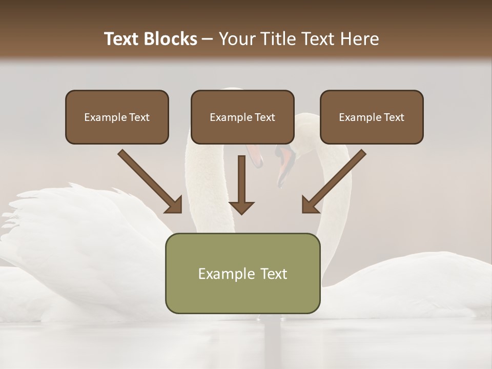 Mute Valentine Romance PowerPoint Template