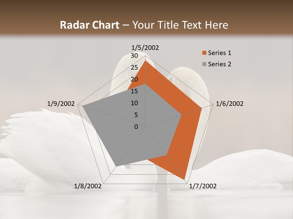 Mute Valentine Romance PowerPoint Template