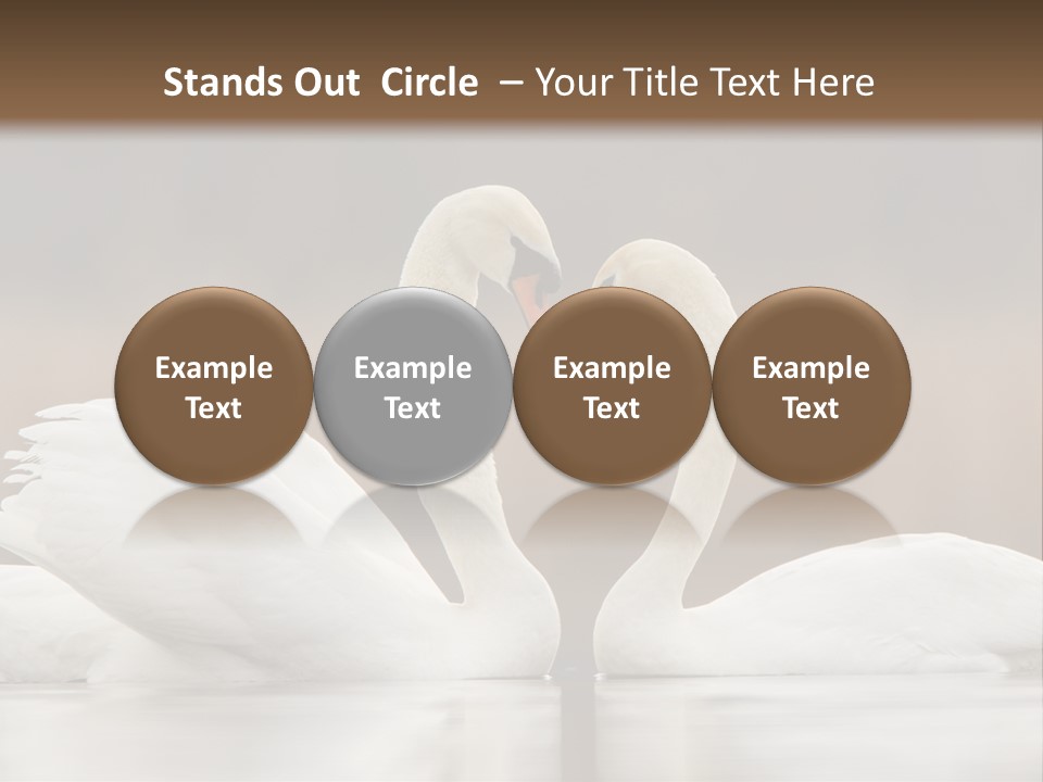 Mute Valentine Romance PowerPoint Template