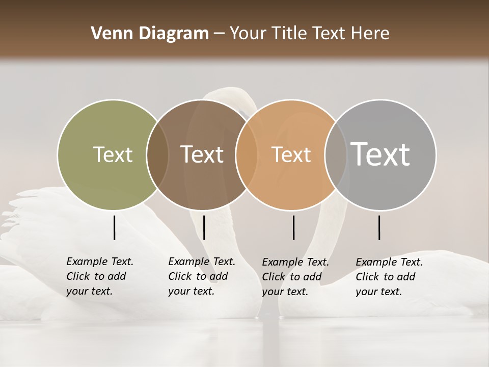 Mute Valentine Romance PowerPoint Template