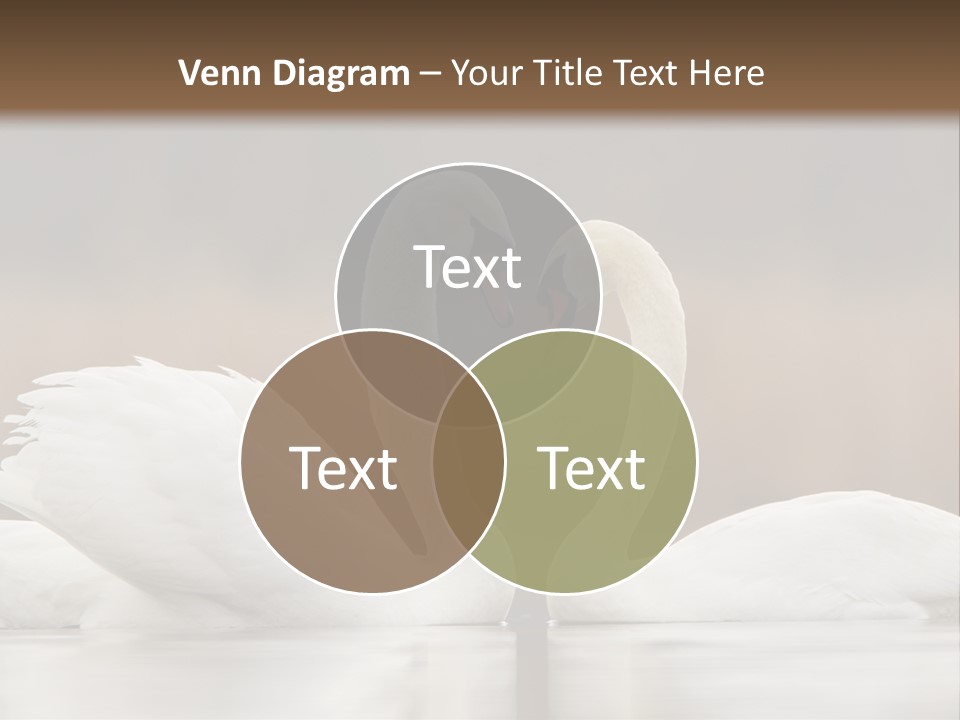 Mute Valentine Romance PowerPoint Template