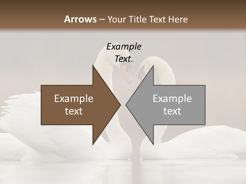 Mute Valentine Romance PowerPoint Template