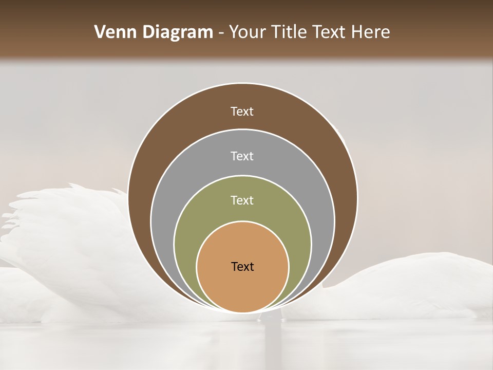 Mute Valentine Romance PowerPoint Template