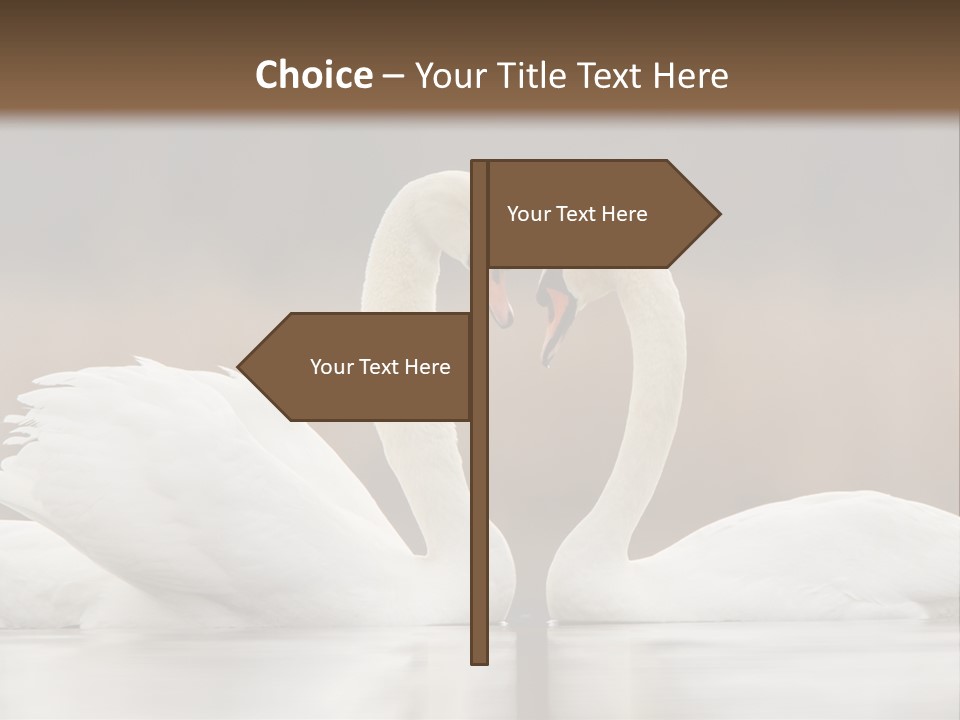 Mute Valentine Romance PowerPoint Template