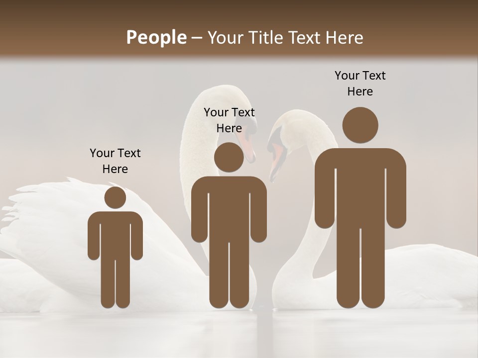 Mute Valentine Romance PowerPoint Template