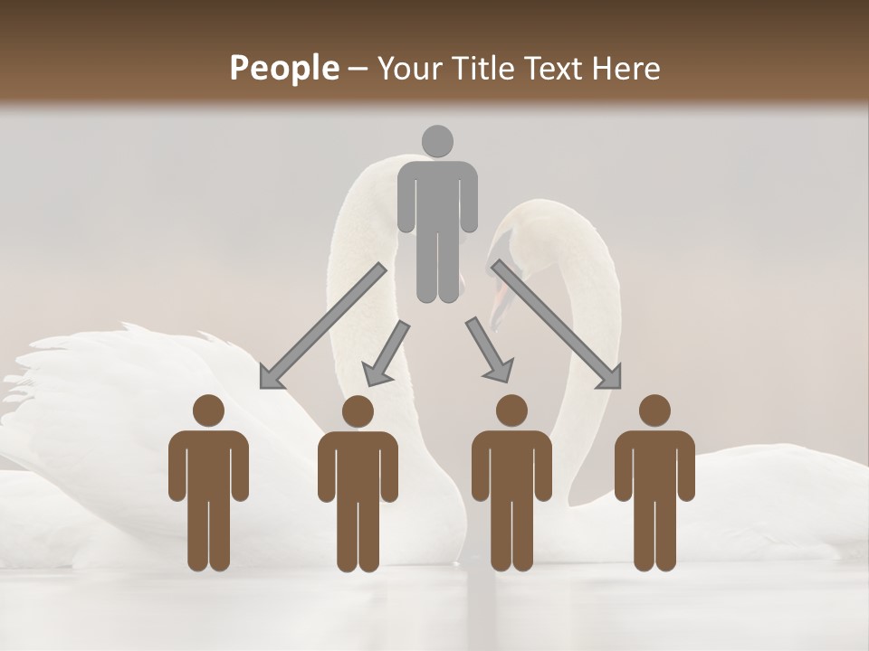 Mute Valentine Romance PowerPoint Template