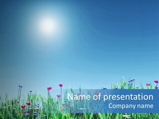 A Field Of Flowers With A Blue Sky In The Background PowerPoint Template