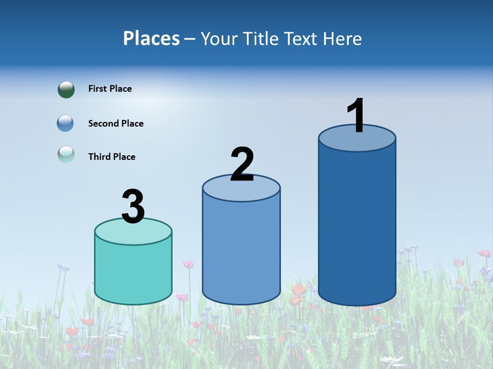 A Field Of Flowers With A Blue Sky In The Background PowerPoint Template