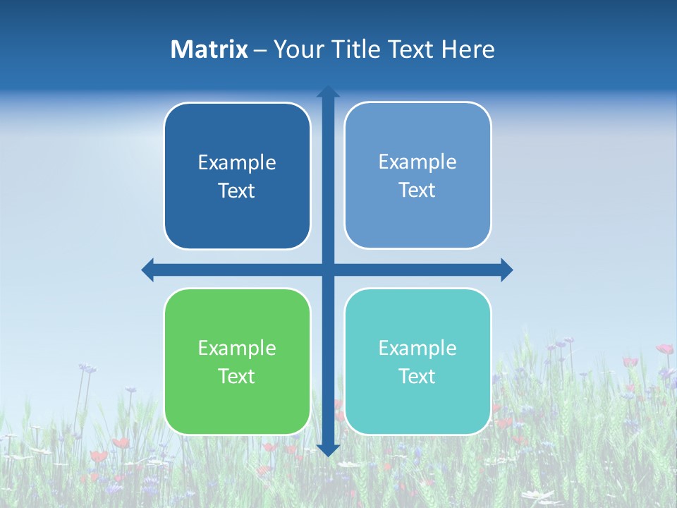 A Field Of Flowers With A Blue Sky In The Background PowerPoint Template
