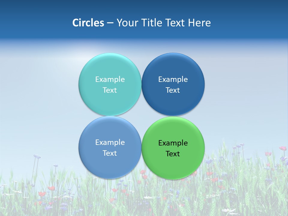 A Field Of Flowers With A Blue Sky In The Background PowerPoint Template