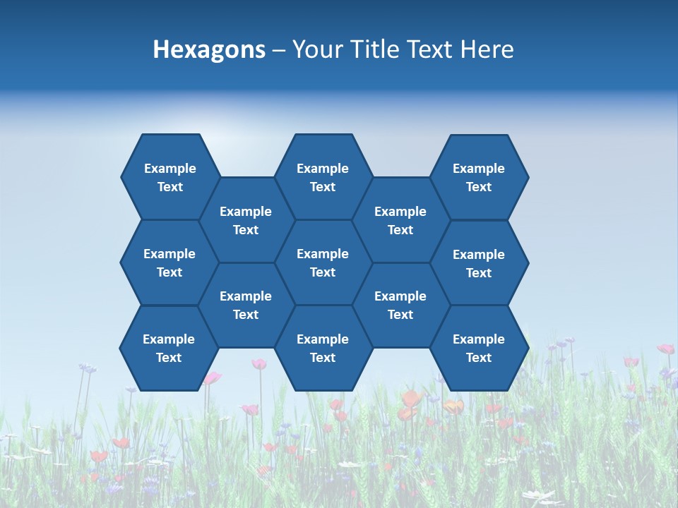 A Field Of Flowers With A Blue Sky In The Background PowerPoint Template