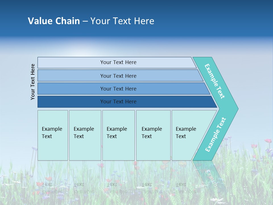 A Field Of Flowers With A Blue Sky In The Background PowerPoint Template