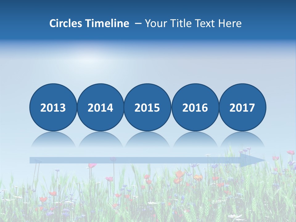 A Field Of Flowers With A Blue Sky In The Background PowerPoint Template