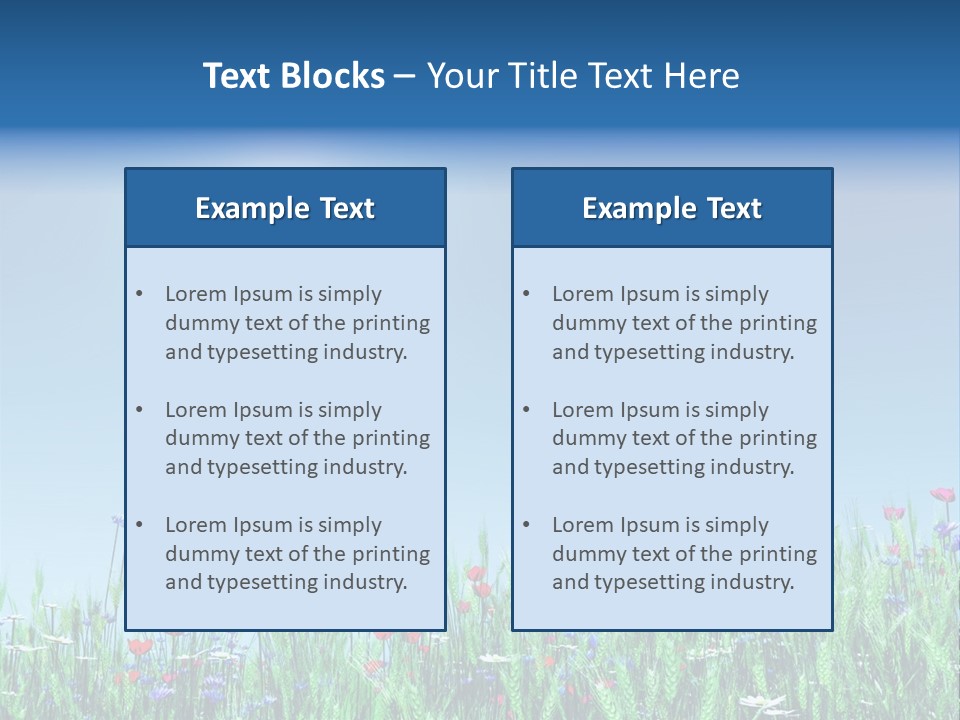 A Field Of Flowers With A Blue Sky In The Background PowerPoint Template