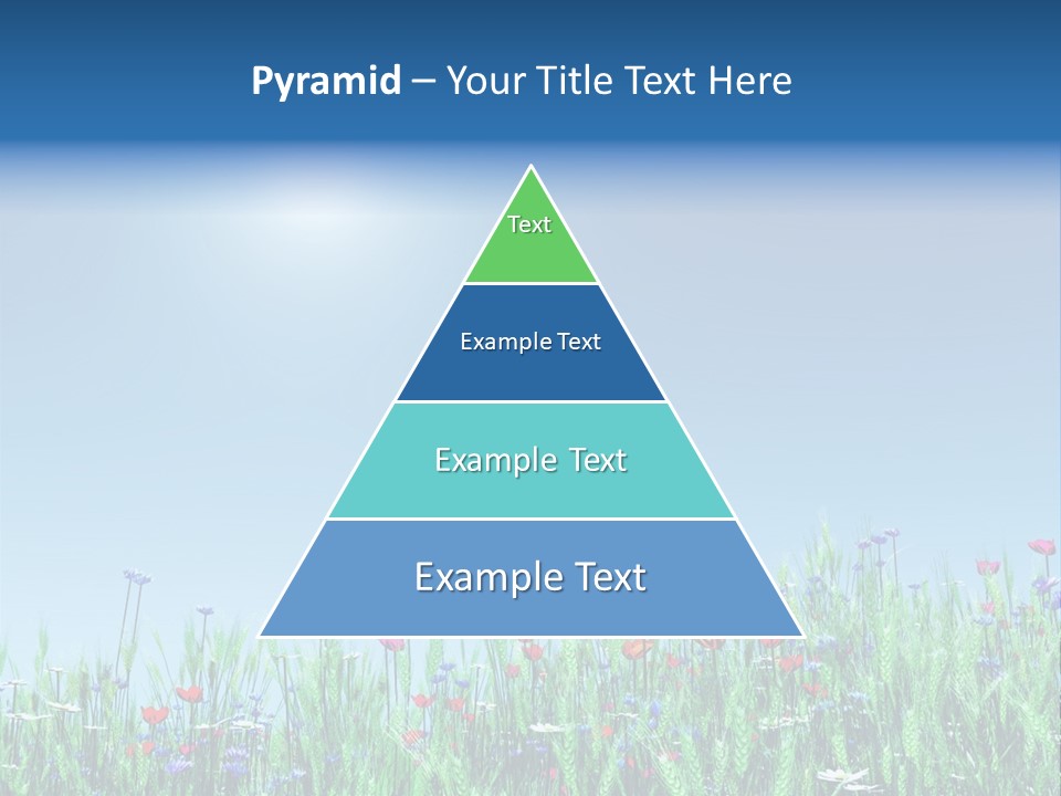A Field Of Flowers With A Blue Sky In The Background PowerPoint Template