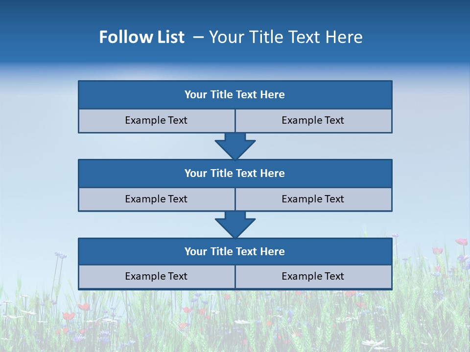 A Field Of Flowers With A Blue Sky In The Background PowerPoint Template