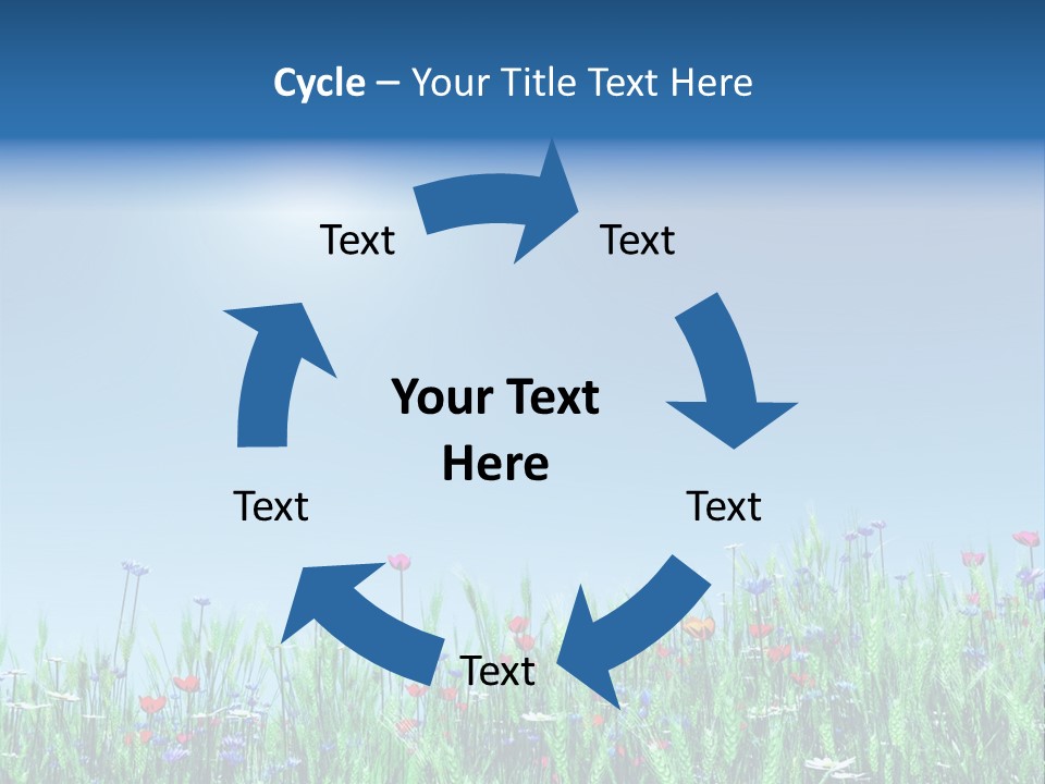 A Field Of Flowers With A Blue Sky In The Background PowerPoint Template