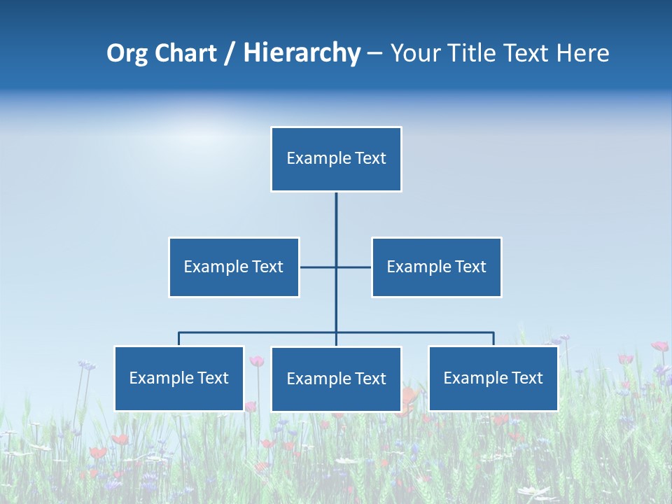 A Field Of Flowers With A Blue Sky In The Background PowerPoint Template