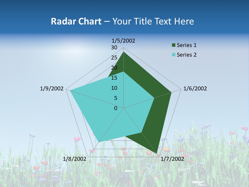 A Field Of Flowers With A Blue Sky In The Background PowerPoint Template