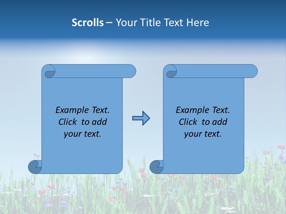 A Field Of Flowers With A Blue Sky In The Background PowerPoint Template