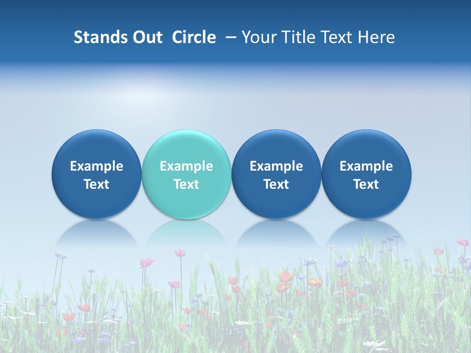 A Field Of Flowers With A Blue Sky In The Background PowerPoint Template