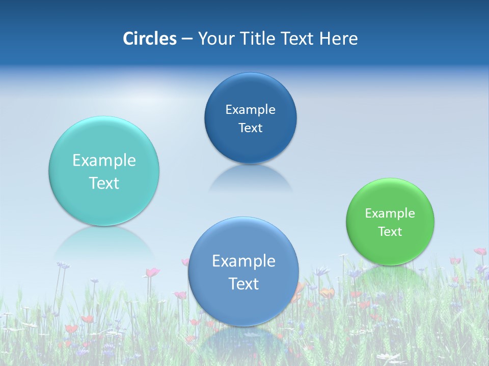 A Field Of Flowers With A Blue Sky In The Background PowerPoint Template