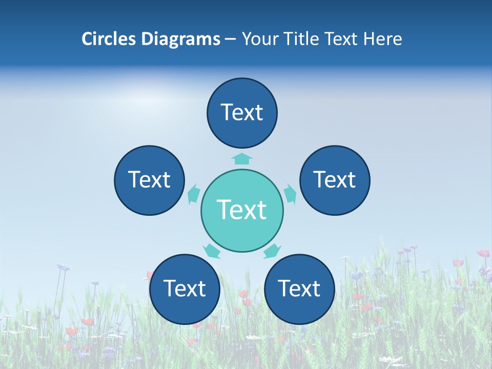 A Field Of Flowers With A Blue Sky In The Background PowerPoint Template