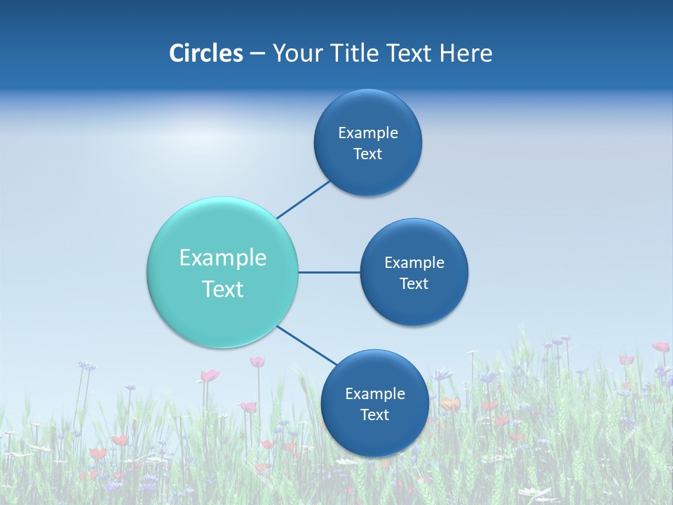 A Field Of Flowers With A Blue Sky In The Background PowerPoint Template