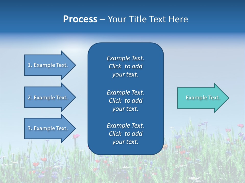 A Field Of Flowers With A Blue Sky In The Background PowerPoint Template