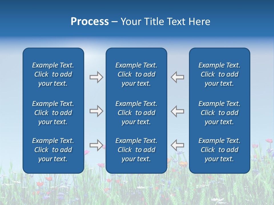 A Field Of Flowers With A Blue Sky In The Background PowerPoint Template