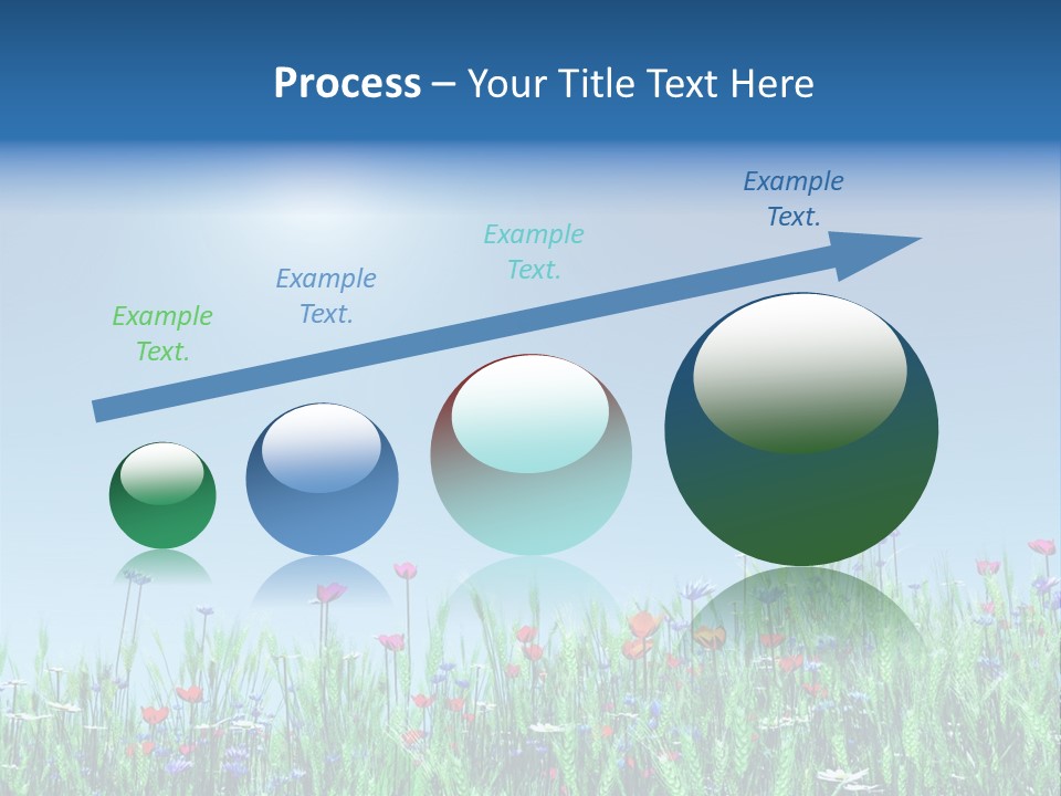 A Field Of Flowers With A Blue Sky In The Background PowerPoint Template