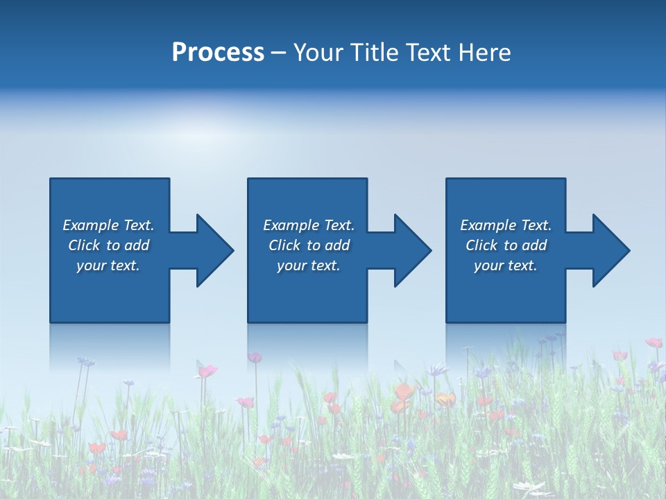A Field Of Flowers With A Blue Sky In The Background PowerPoint Template