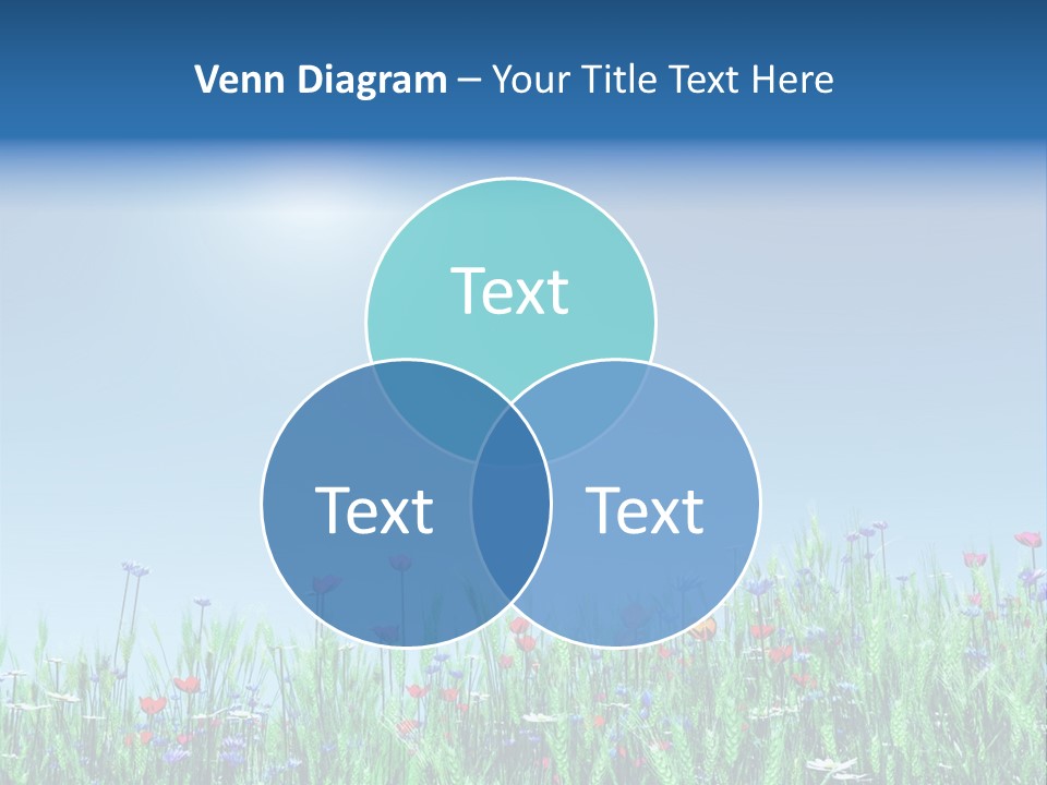 A Field Of Flowers With A Blue Sky In The Background PowerPoint Template