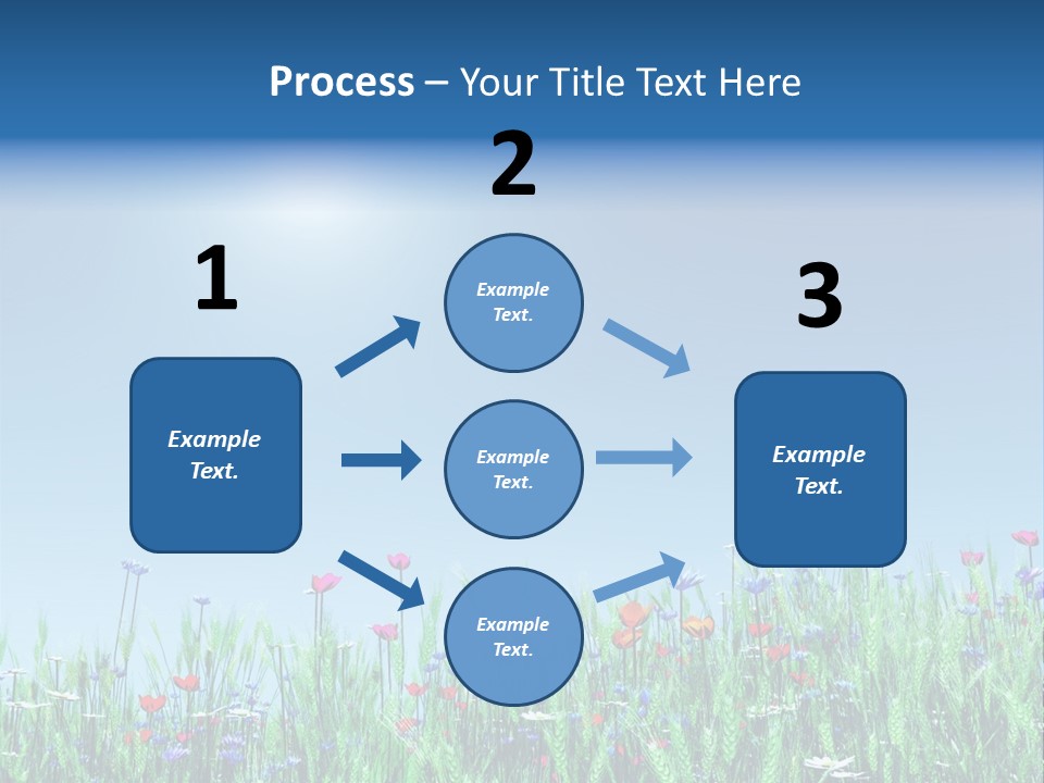 A Field Of Flowers With A Blue Sky In The Background PowerPoint Template