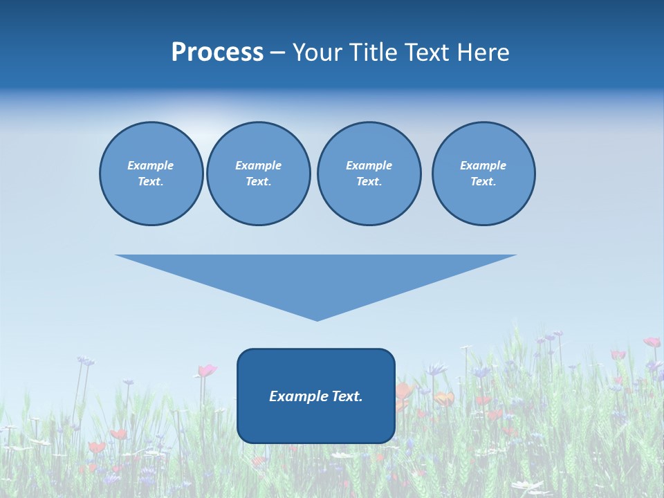 A Field Of Flowers With A Blue Sky In The Background PowerPoint Template