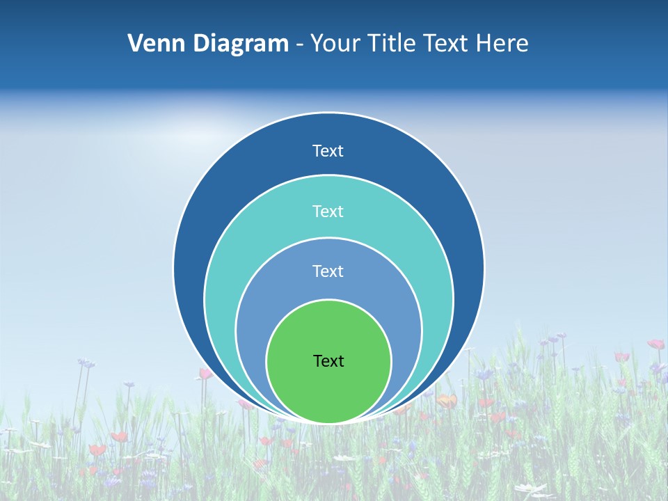 A Field Of Flowers With A Blue Sky In The Background PowerPoint Template