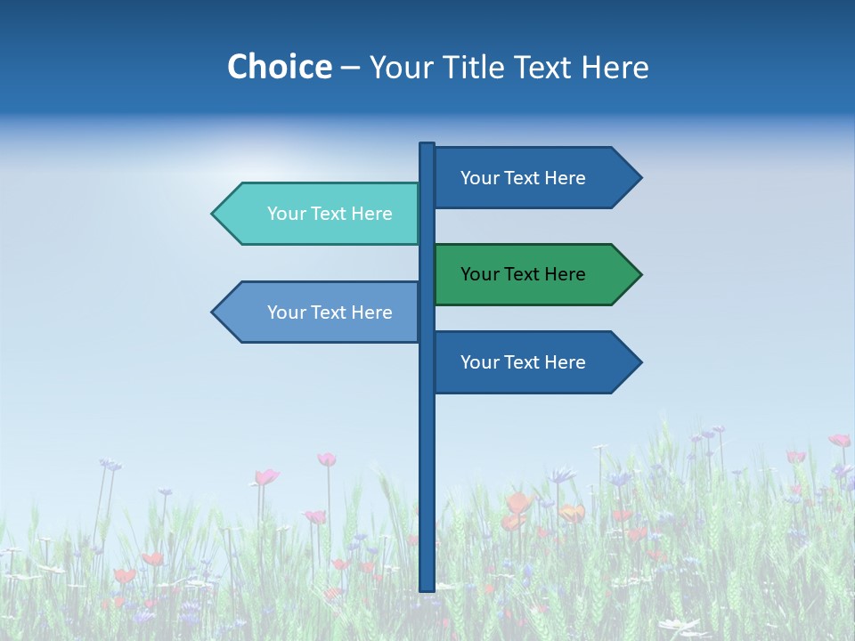 A Field Of Flowers With A Blue Sky In The Background PowerPoint Template