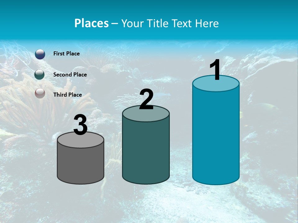 Scenery Yucatan Swimming PowerPoint Template