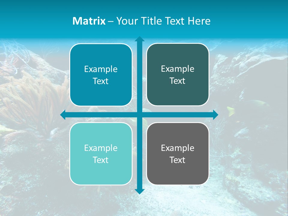 Scenery Yucatan Swimming PowerPoint Template